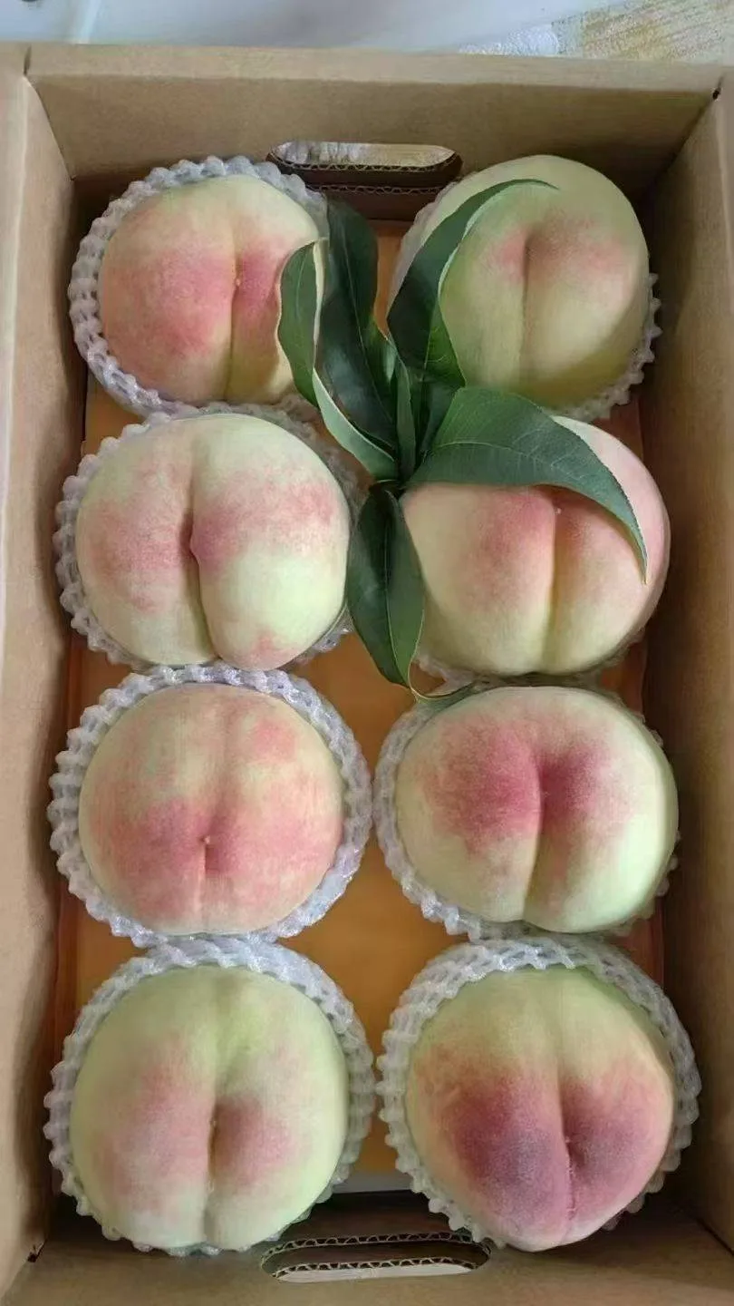 正宗阳山水蜜桃 商品图片