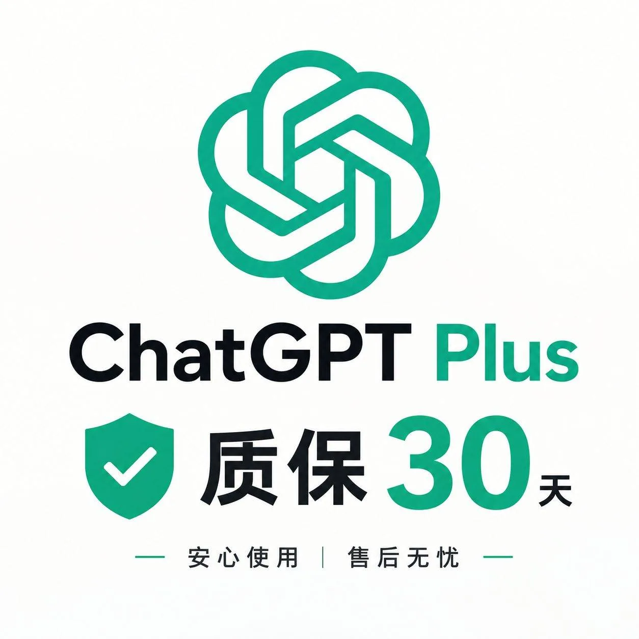 Plus 成品号30天(质保5天) 商品图片