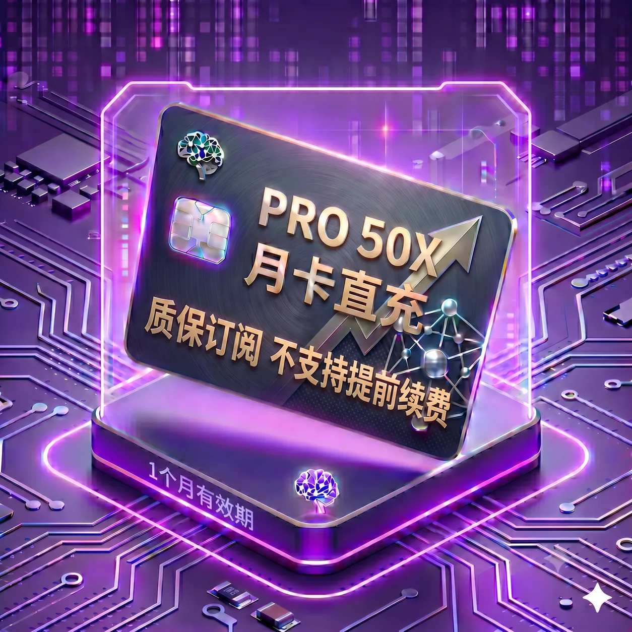 Pro 25X 稳定正规渠道直充1（质保订阅，封号不质保，不支持提前续费） 商品图片