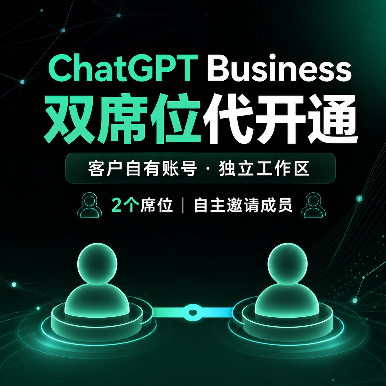 Business 双席位 1个月 商品图片