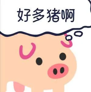 PigCode 店铺头像