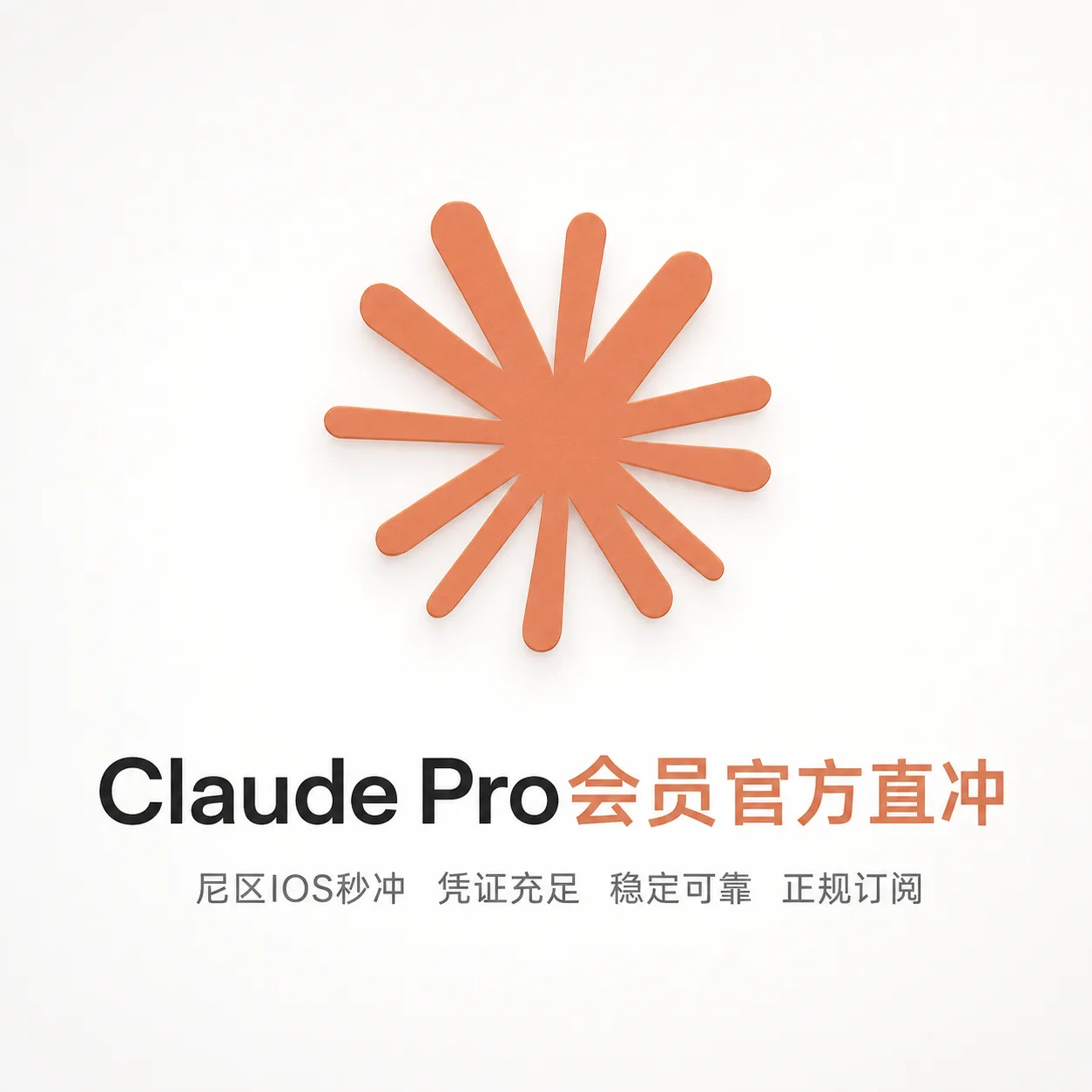 【正规充值】Claude Pro会员|官方订阅|稳定不掉 商品图片