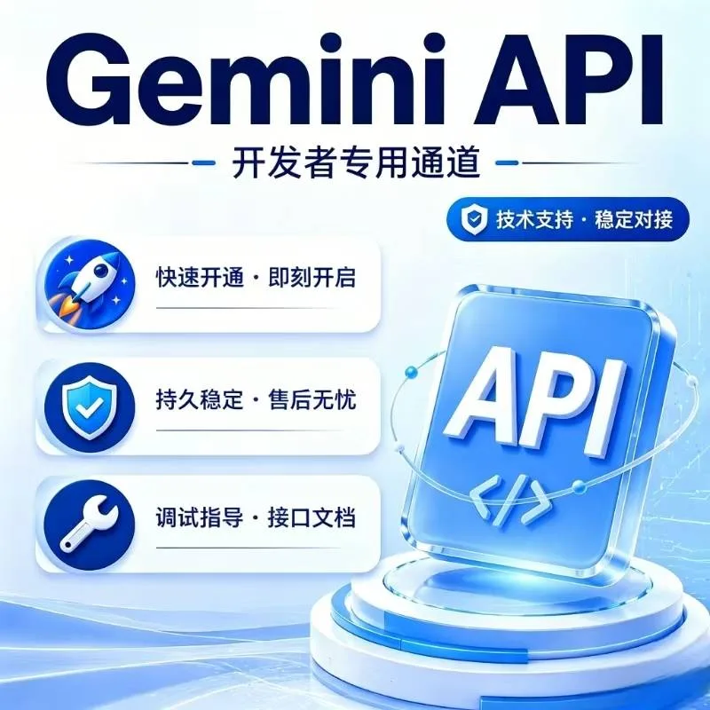 Gemini API Token 10刀商品图片