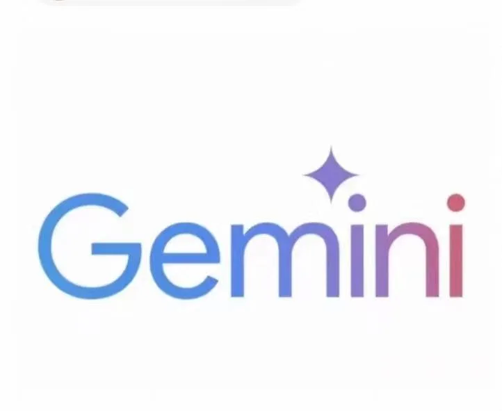 美区 gemini pro 纯手工pixel开通一年会员 (2-4老邮箱) 商品图片