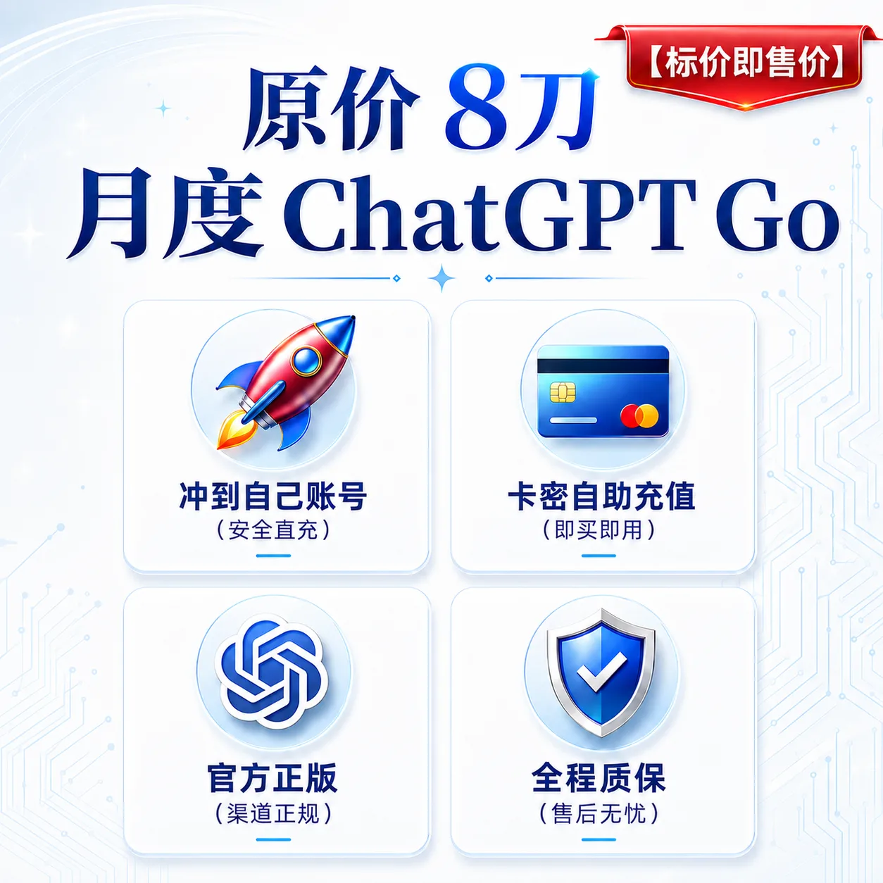 OpenAI充值码，对应8美元一个月的Go订阅 商品图片
