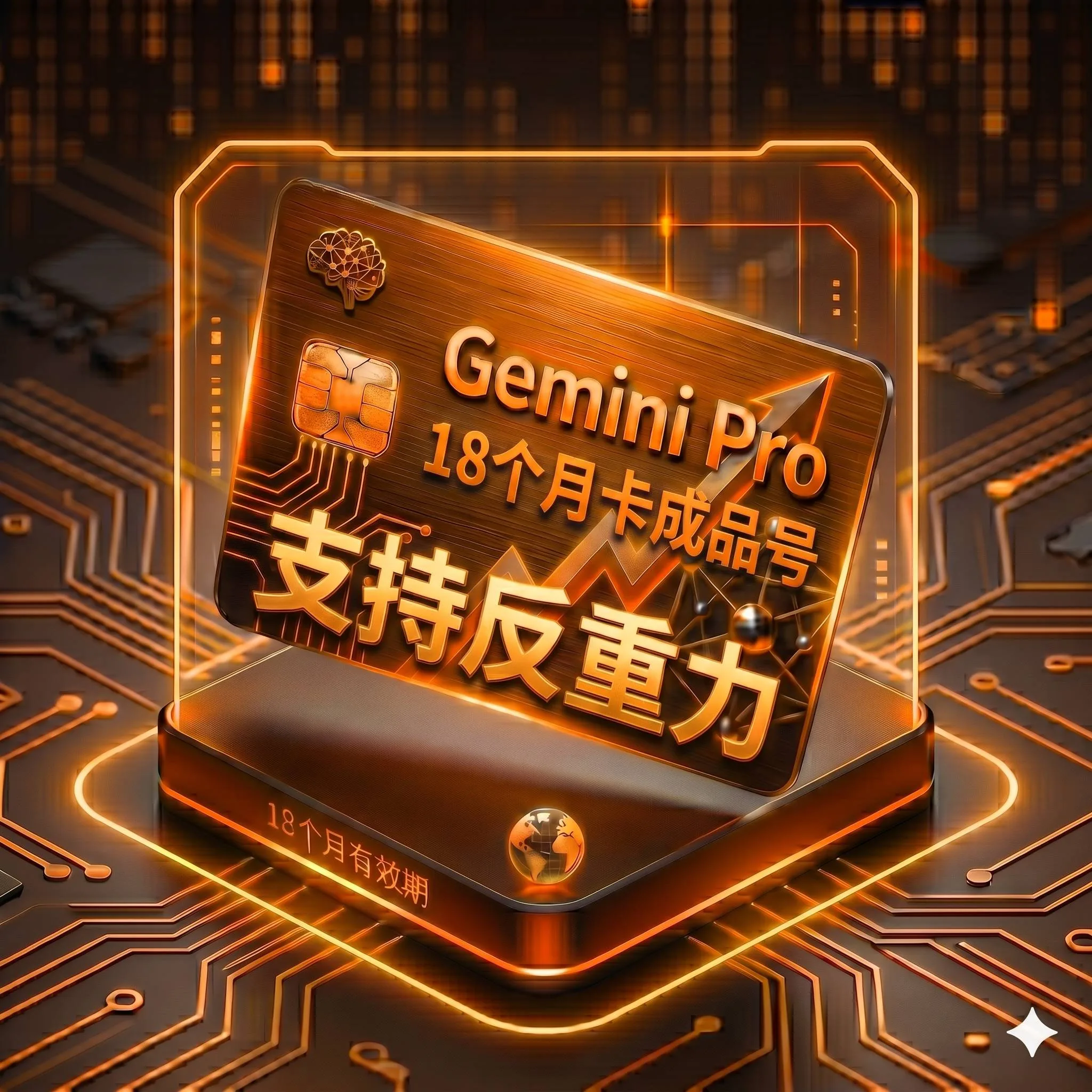 Gemini Pro 稳定特殊渠道18个月老号成品号1(支持反重力,随机地区老帐号2022-2025,质保首登) 商品图片