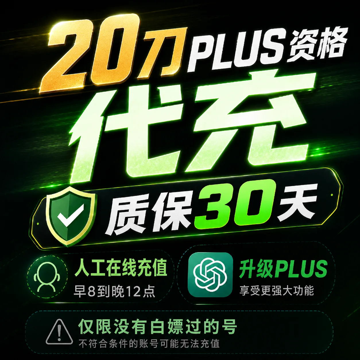 【卡冲渠道】一个月GPT Plus 20刀 退款质保 无法覆盖 商品图片