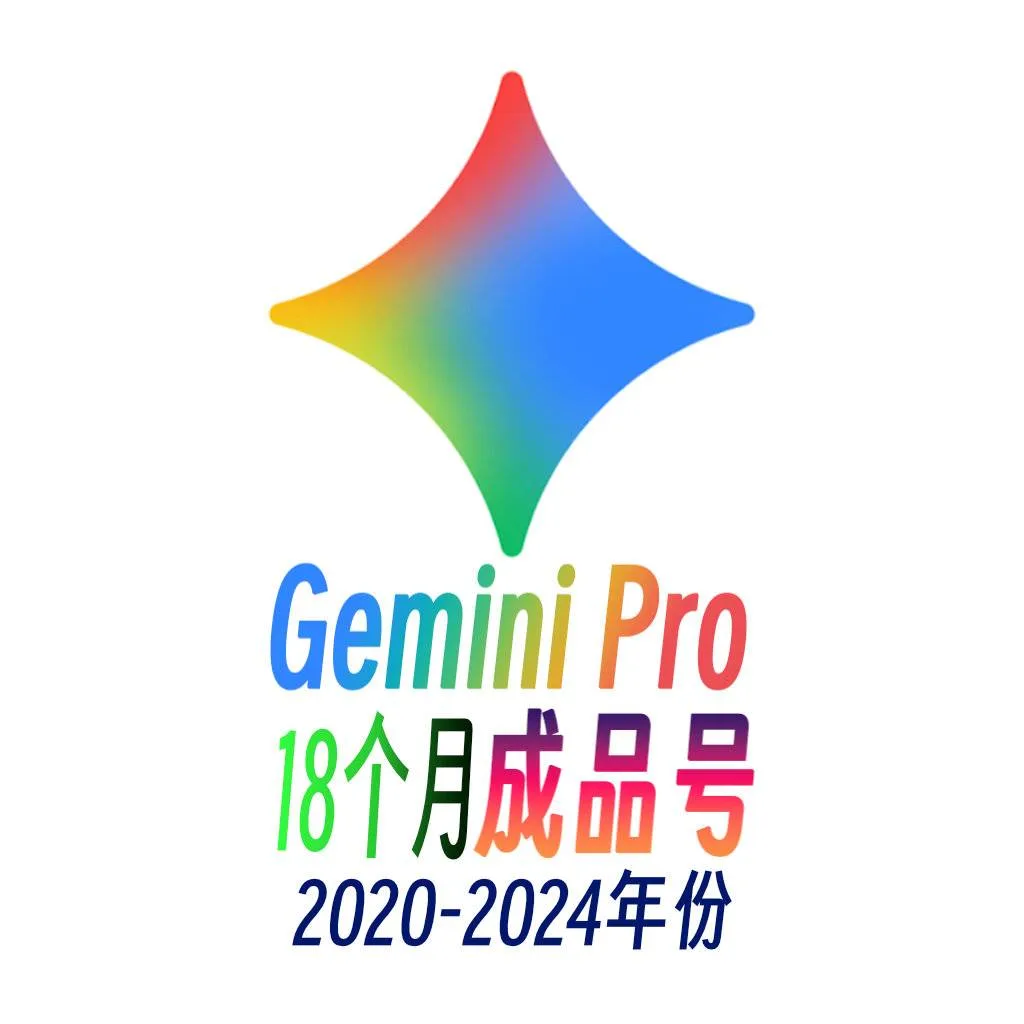 随机地区20-24年Gemini Pro18个月商品图片
