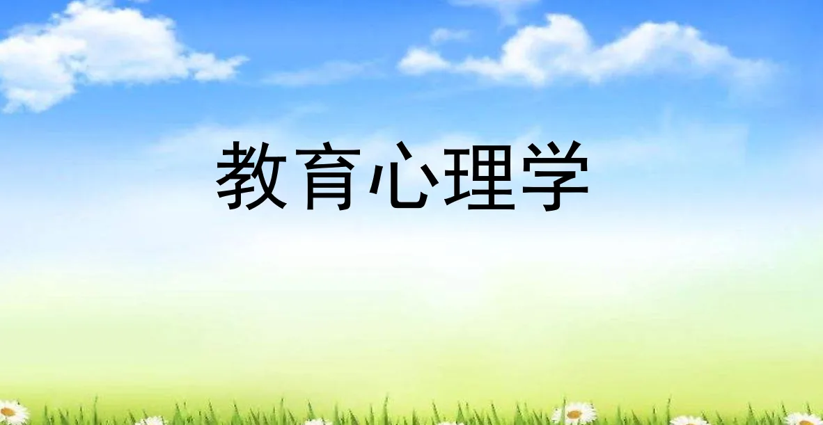 《教育心理学》课件 17个PPT 商品图片