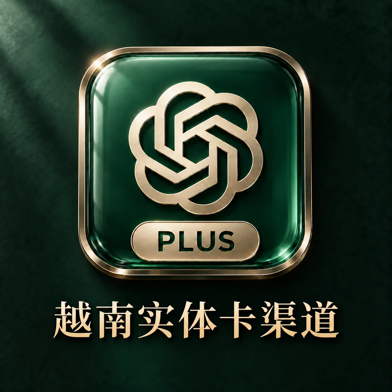 越南实卡渠道|gamil邮箱|一卡一绑 商品图片