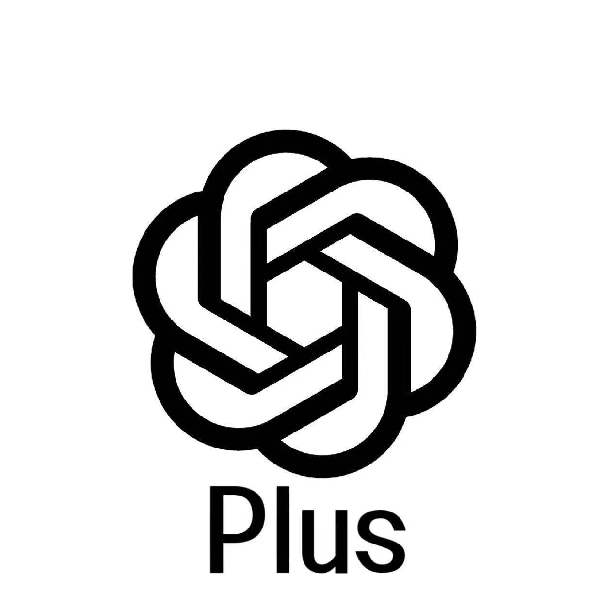 【源头】9.12🚀新 codex plus账号 已接马【带rt】，sub2 CPA格式 商品图片