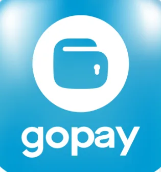 印尼 gopay /GOJEK 单次接马 商品图片
