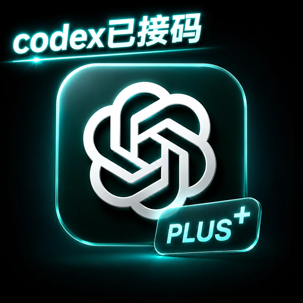 【源头供货】Plus独享成品账号纯手工|质保首登|已接马 商品图片