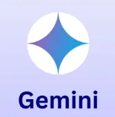 gemini Pro成品一年 邮箱20-24 商品图片