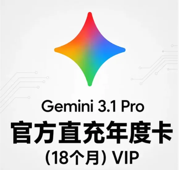 Gemini Pro 18个月直冲 商品图片