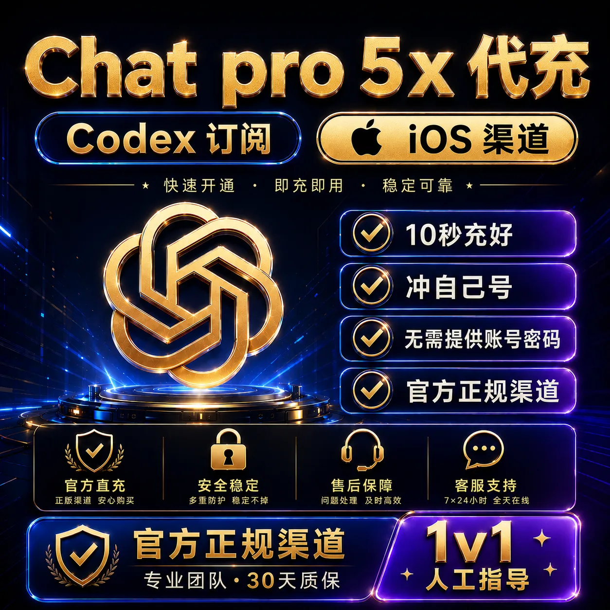 GPT Pro 5x【渠道一】正规代充秒到账 【IOS渠道质保订阅】 商品图片
