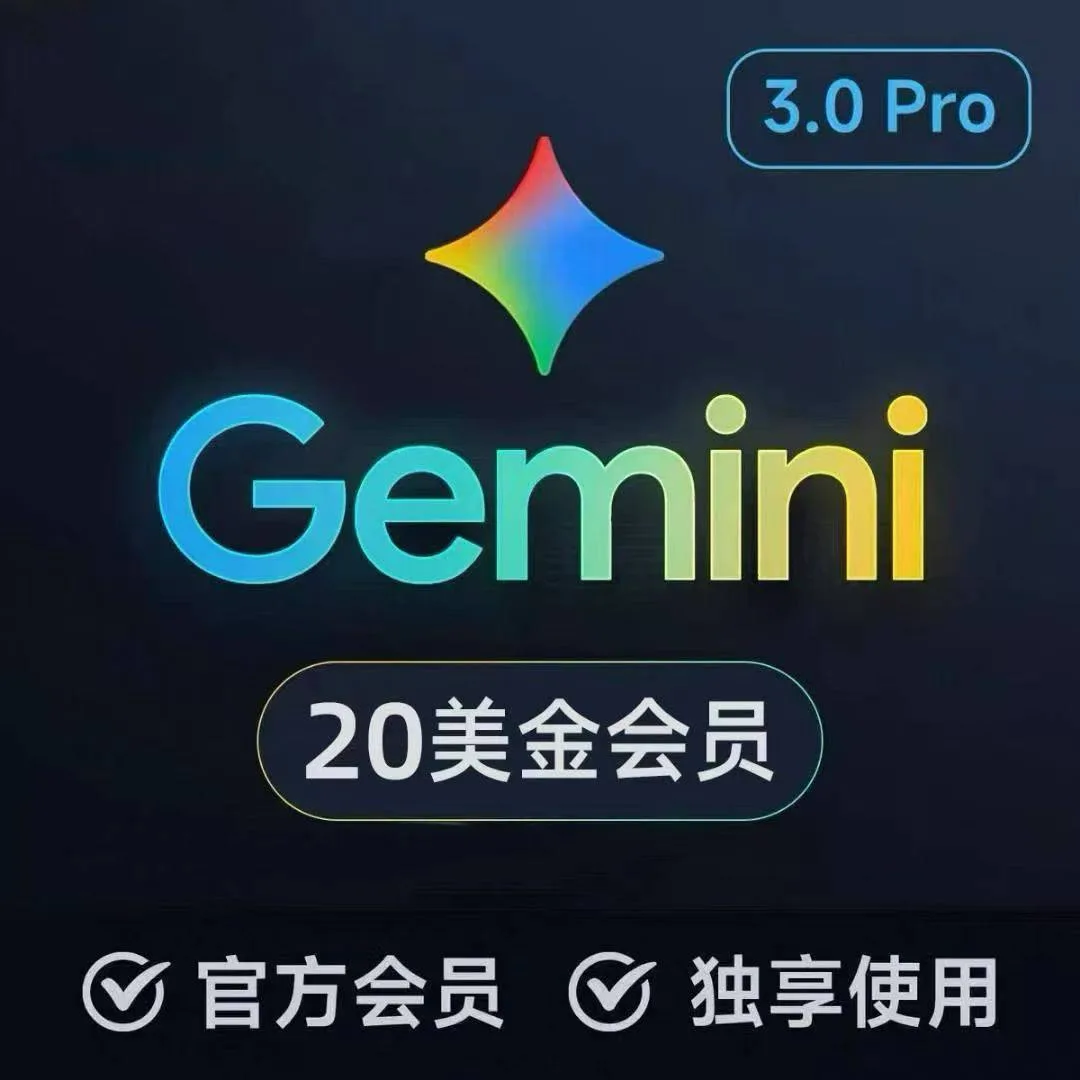 Gemini Pro 18个月链接 商品图片
