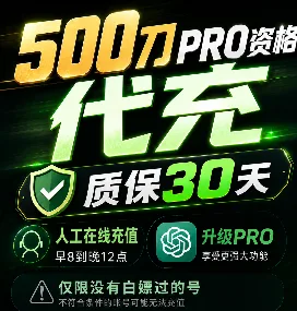 【官方代充】codex Pro 500刀 1-5分钟到账 商品图片