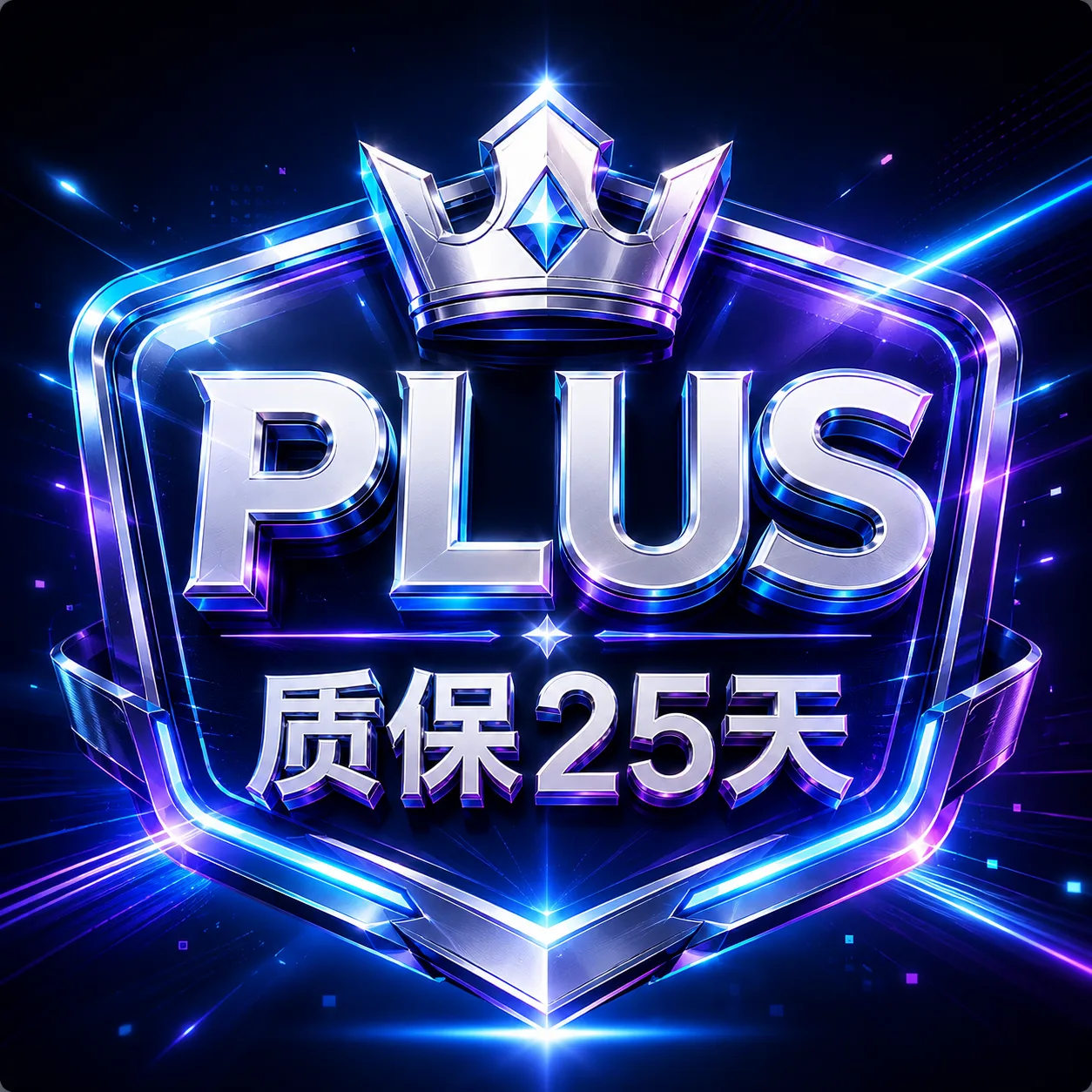 Plus成品号 质保25天 商品图片
