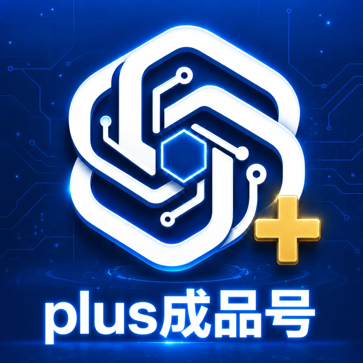 【8.31🚀新鲜，pp直供 】Plus丨成品号 商品图片