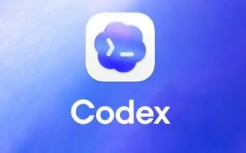 Codex 接马 美区 【单次接马】商品图片