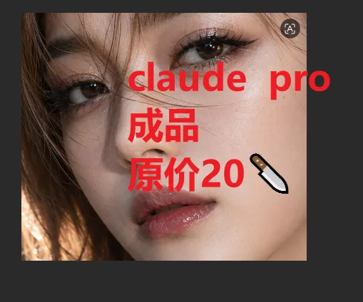 claude pro 成品或者冲你号 商品图片