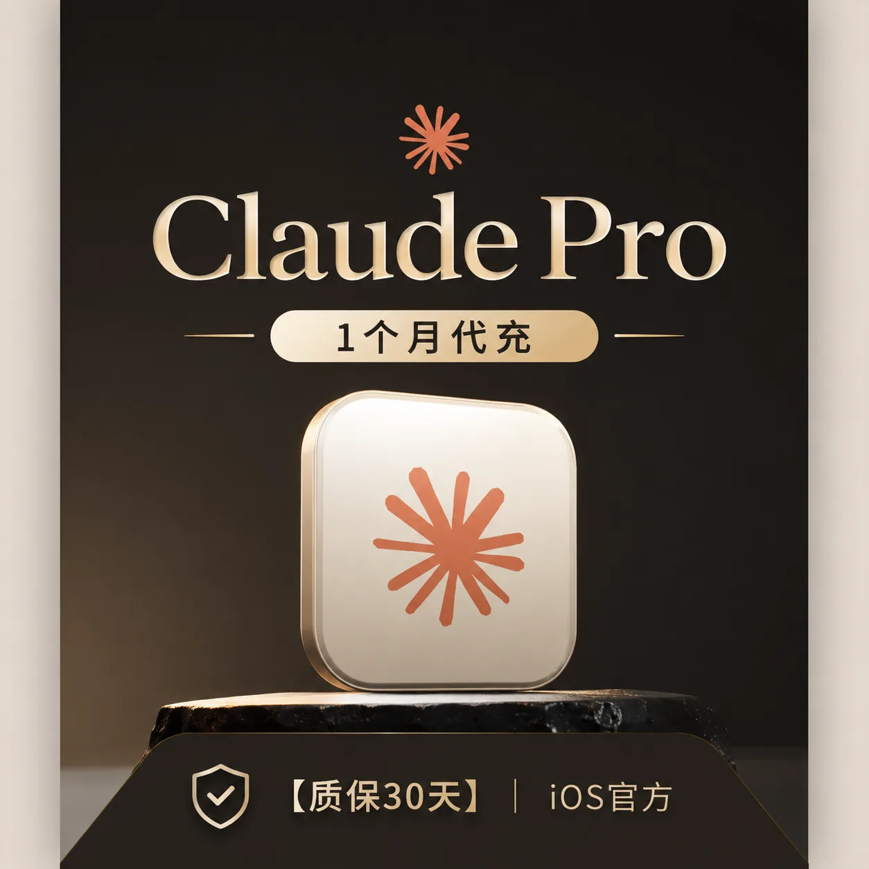 【可开发票IOS美区】Claude Pro 官方充值 月卡【正规实付】 商品图片