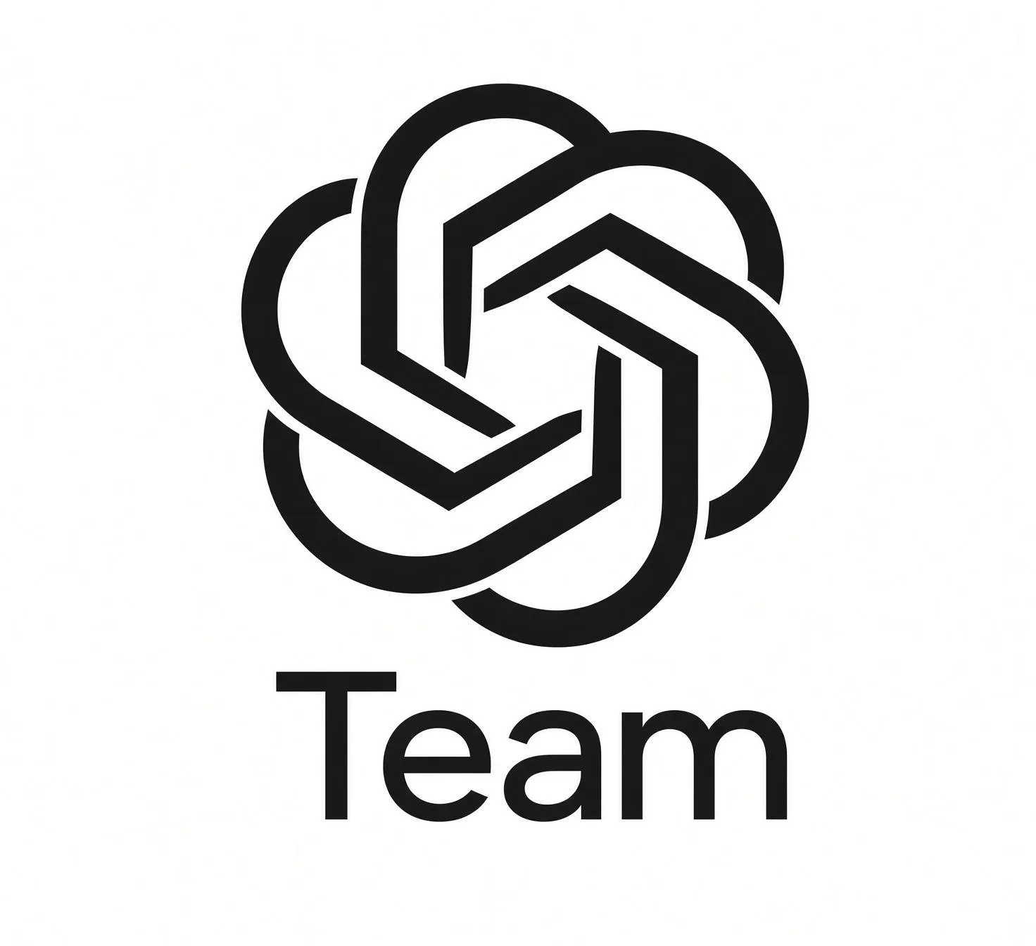 【自营】Team 5X 不轮转 用到空间炸 商品图片