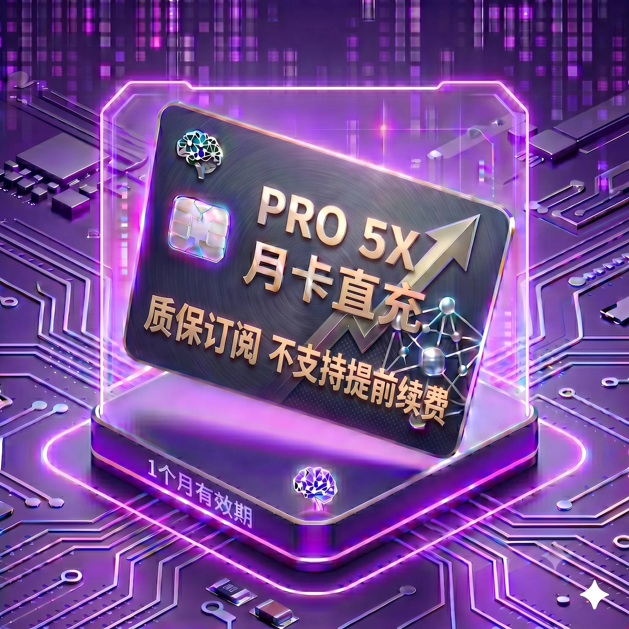 Pro 5X 稳定正规渠道直充1（质保订阅，封号不质保，支持覆盖升级，卡密自助充值服务） 商品图片