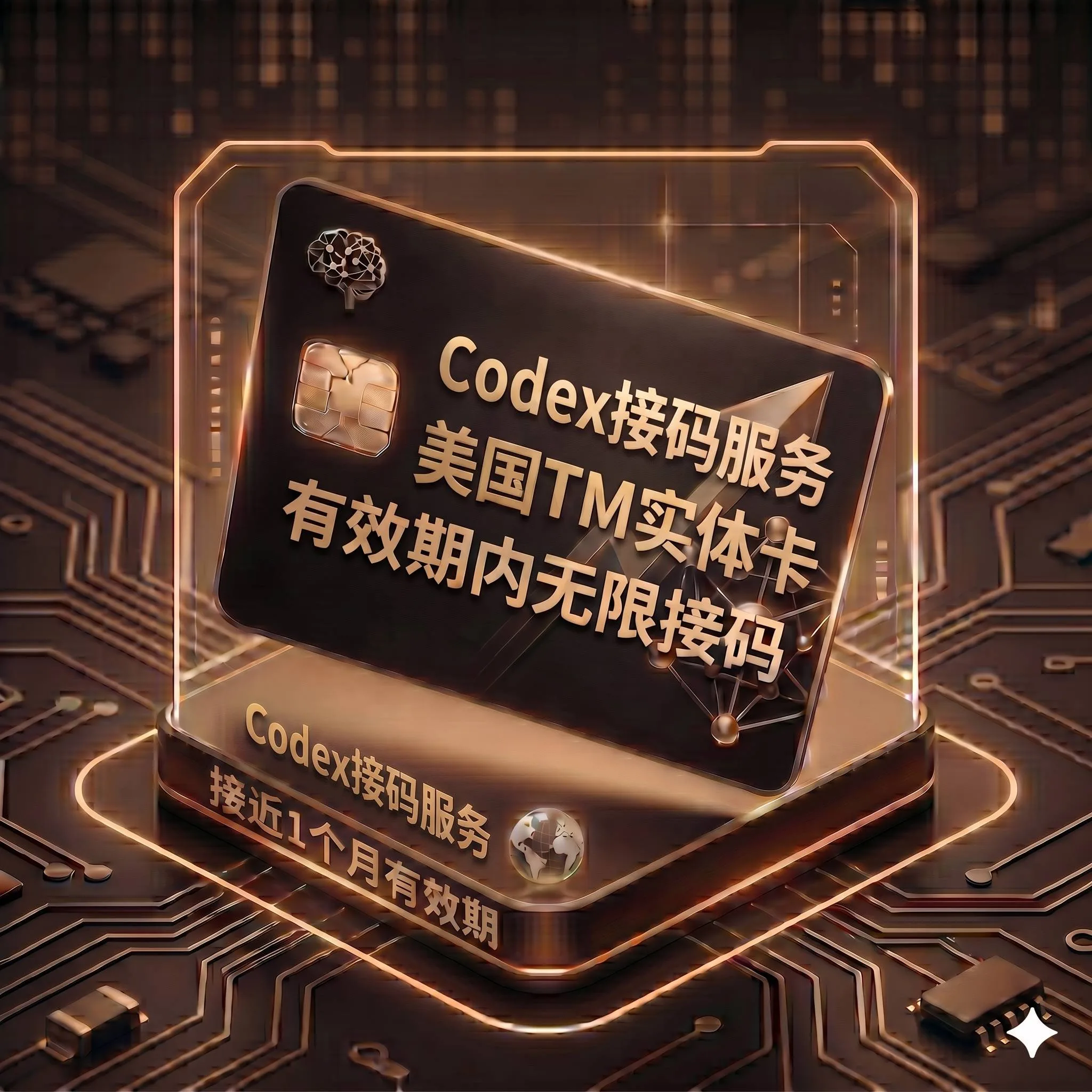 Codex 美区TM自助接验证码服务3(美区TM卡,一号一绑,有效期内可无限接收码,有效期至20261012) 商品图片