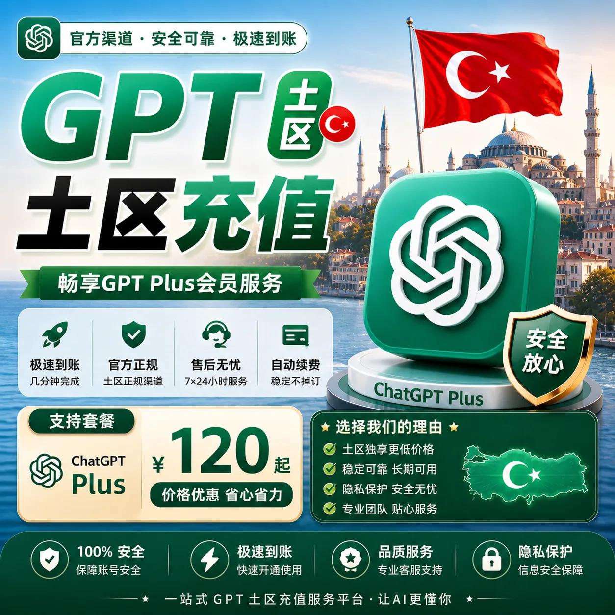 plus土区直充(官方渠道) 商品图片
