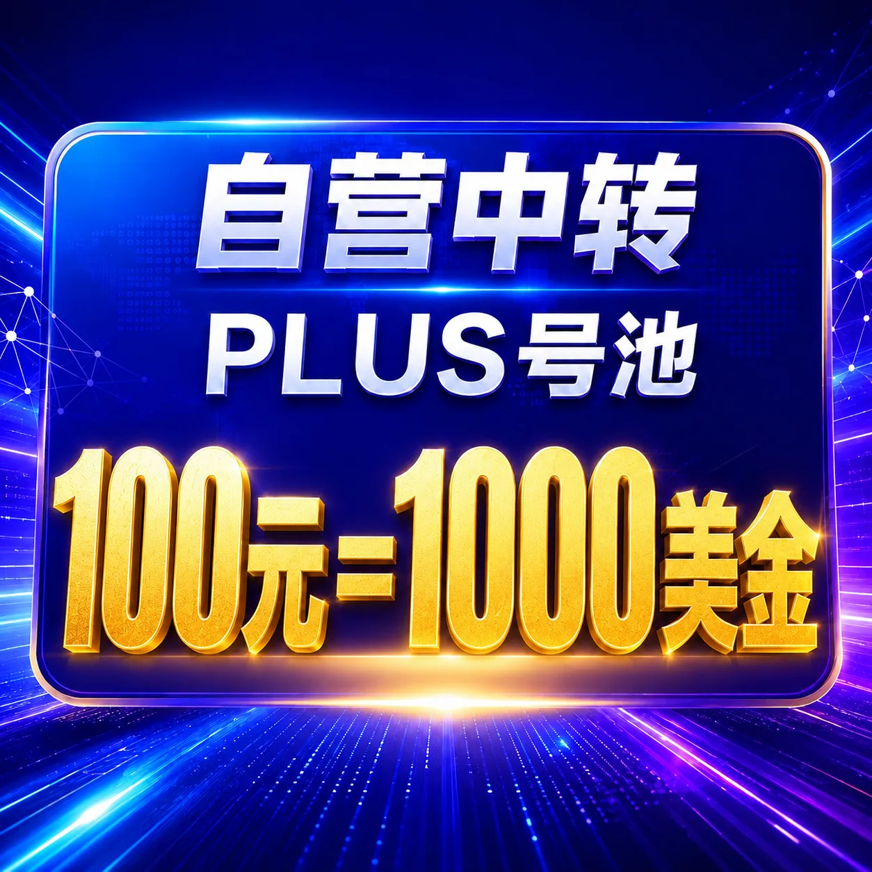 自营中转 PLUS号池 100元=1000美金 商品图片