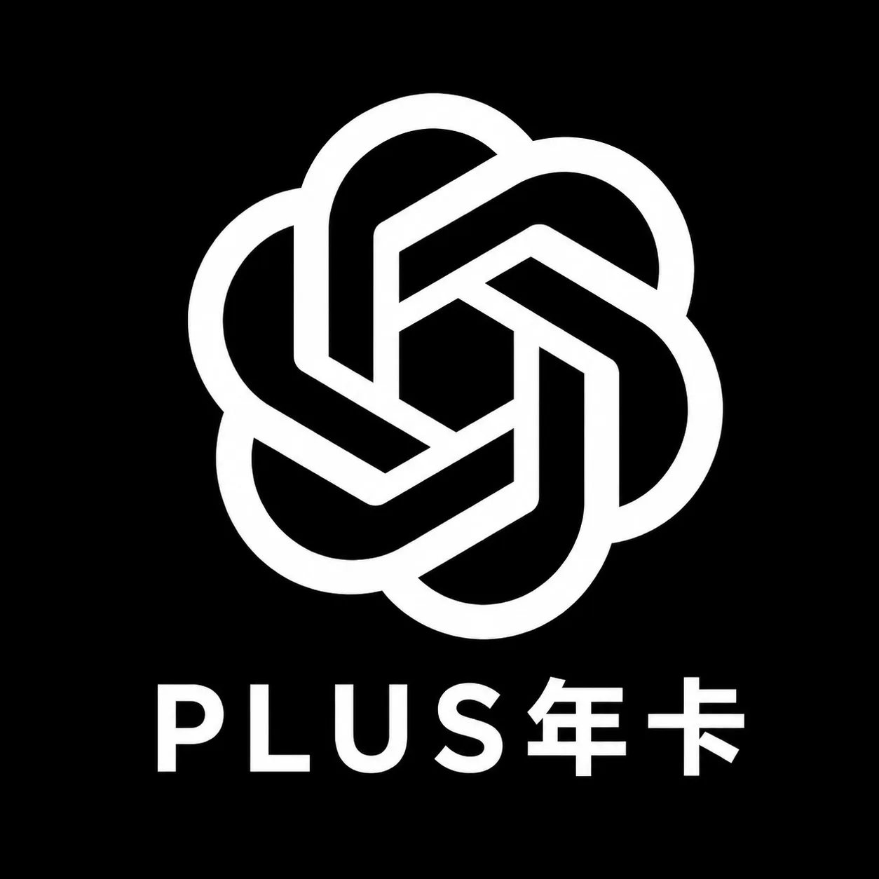 【年卡】【美区正规卡充】G Plus 美区ios直充秒到账 商品图片