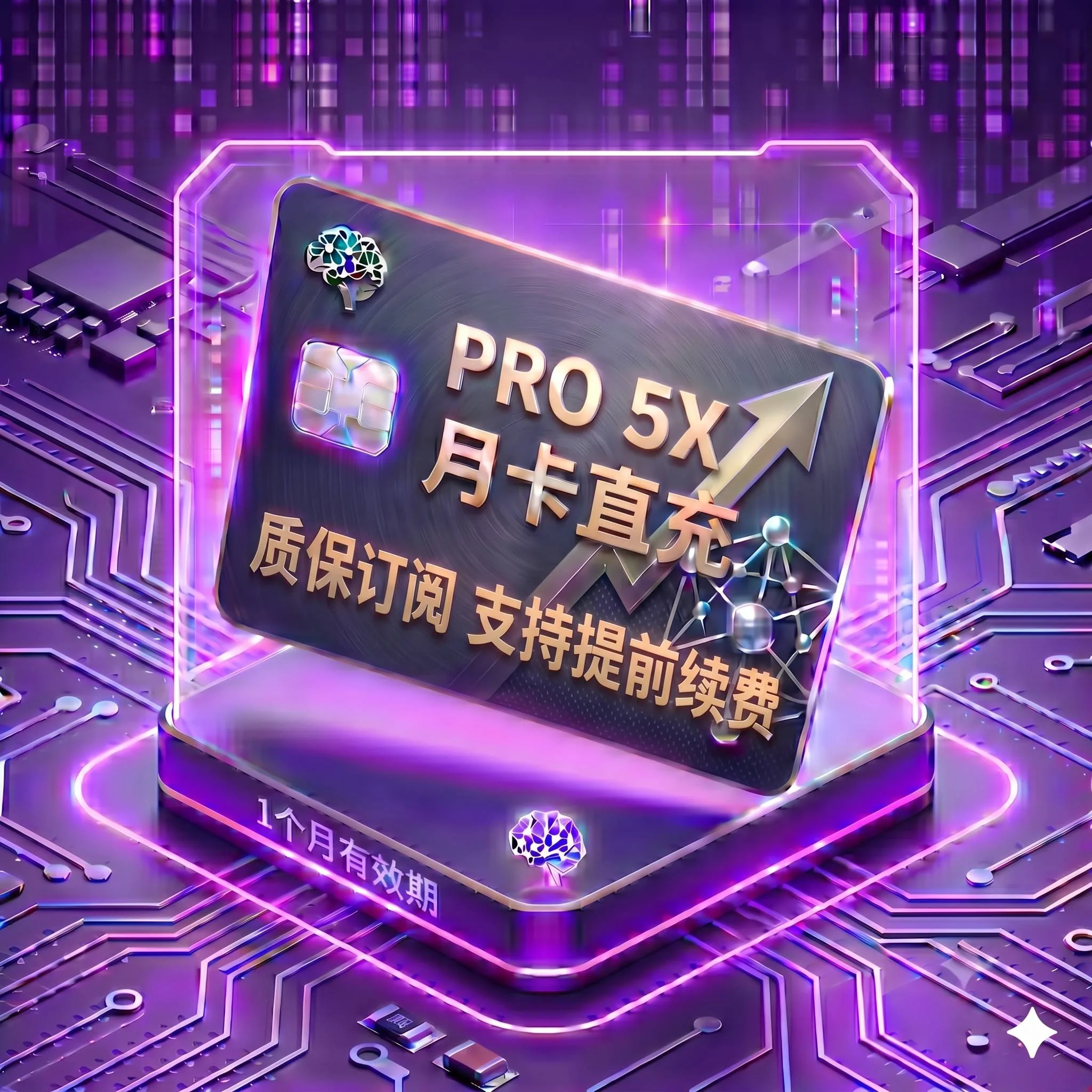 Pro 5X 稳定正规渠道直充2（质保订阅，封号不质保，支持覆盖升级，卡密自助充值服务） 商品图片