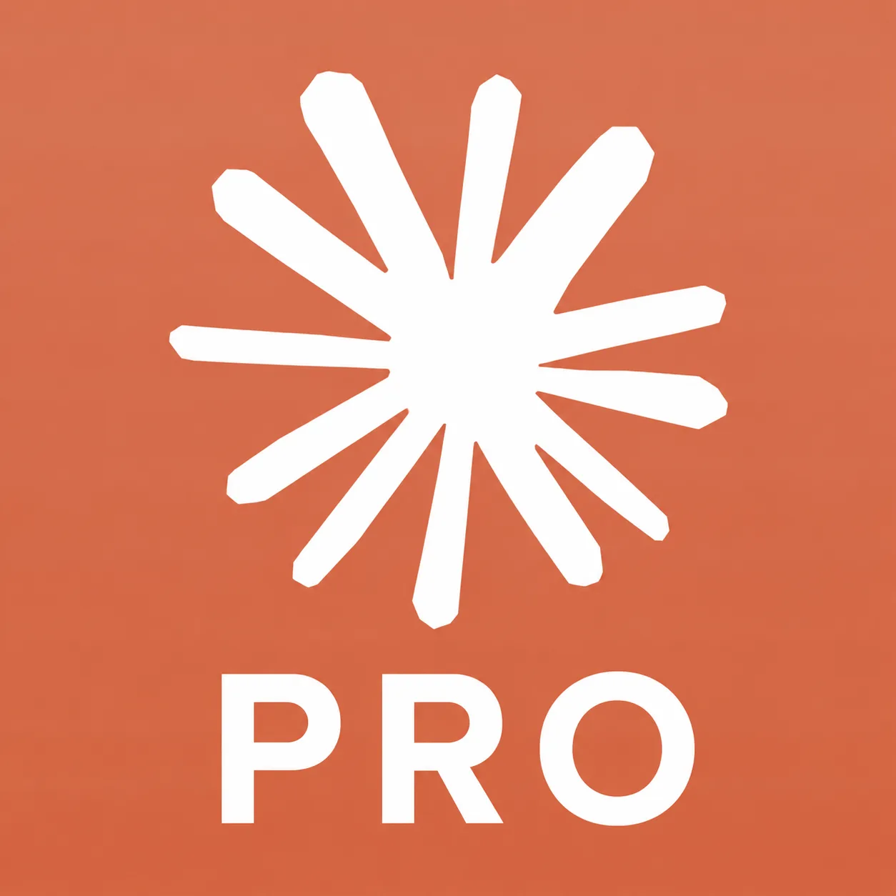 【美区IOS】CLAUDE Pro 官方充值(月卡) (卡密可囤) 商品图片