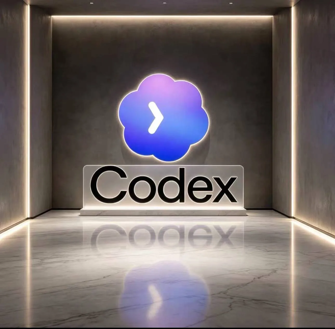 codex Go (同步官方售后) 商品图片