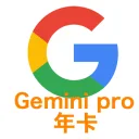 「官方质保」Gemini Pro 年卡 商品图片