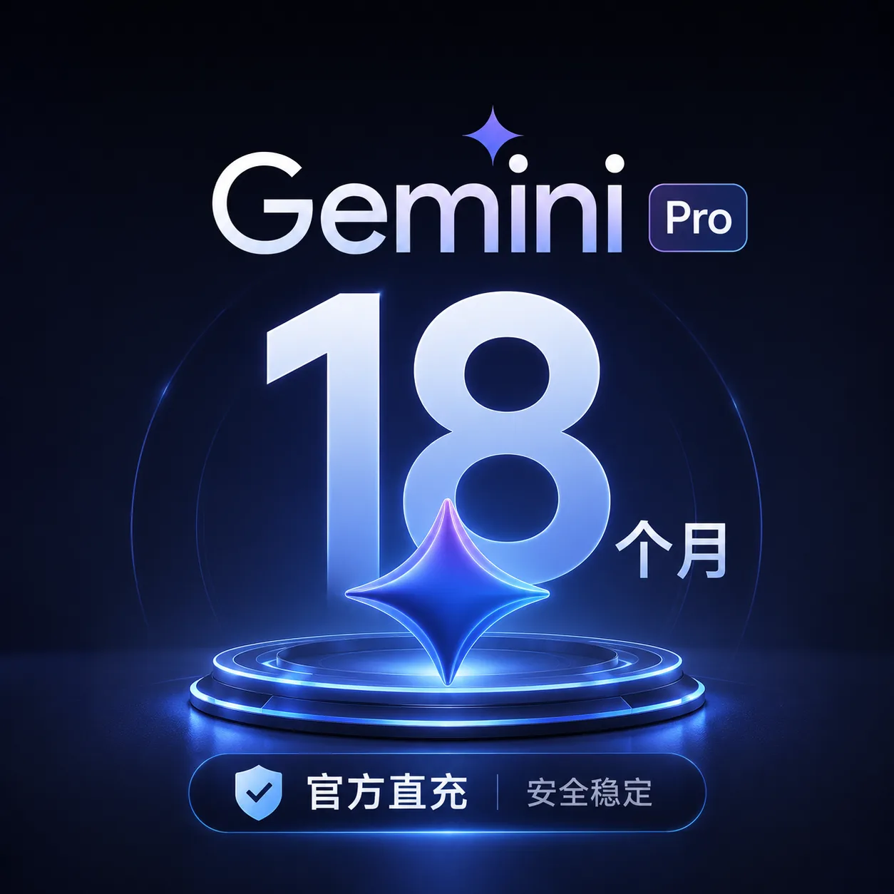 Gemini Pro 18个月 质保18个月 商品图片
