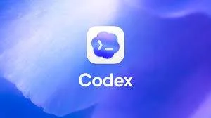 G codex 成品 质保封号封订阅30天 可用 免接马 稳定codex积分 和一个月plus 额度一样商品图片