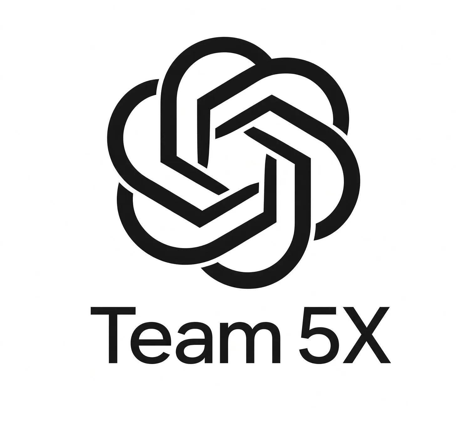 【自营】Team 5X 不轮转 用到空间炸 商品图片