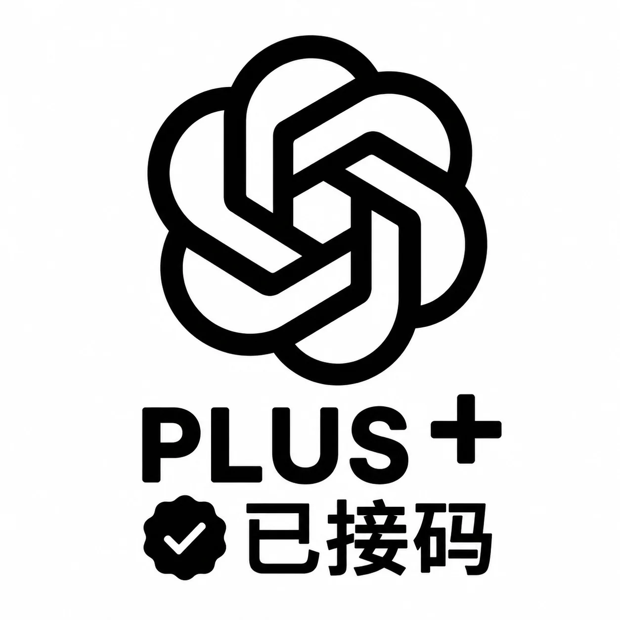 Plus成品号【已接马】质保首登(RT)(5.31) 商品图片