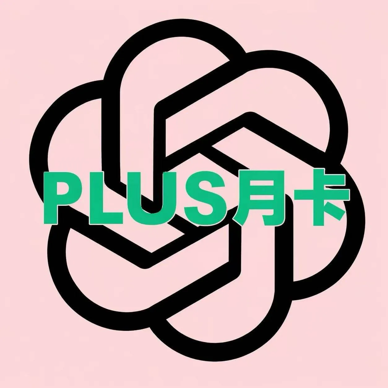 🍊PLUS【1️⃣美区ios秒冲-全程质保订阅-自营渠道】 商品图片
