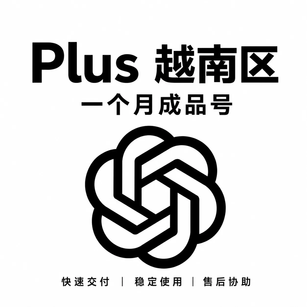 【成品号】G Plus 一个月(越南区稳定渠道)【质保一个月】 商品图片